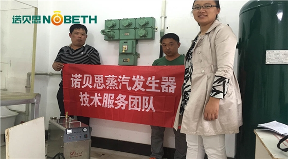 電加熱蒸汽發生器