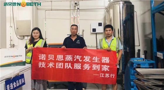 電加熱蒸汽發生器