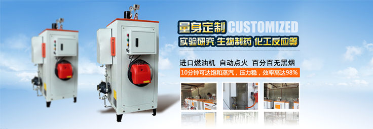 全自動燃氣蒸汽發生器（鍋爐）