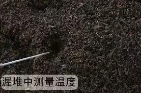 制茶專用電加熱蒸汽發生器