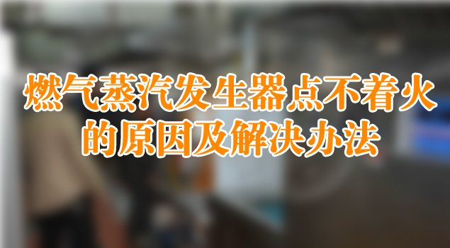 燃氣蒸汽發生器