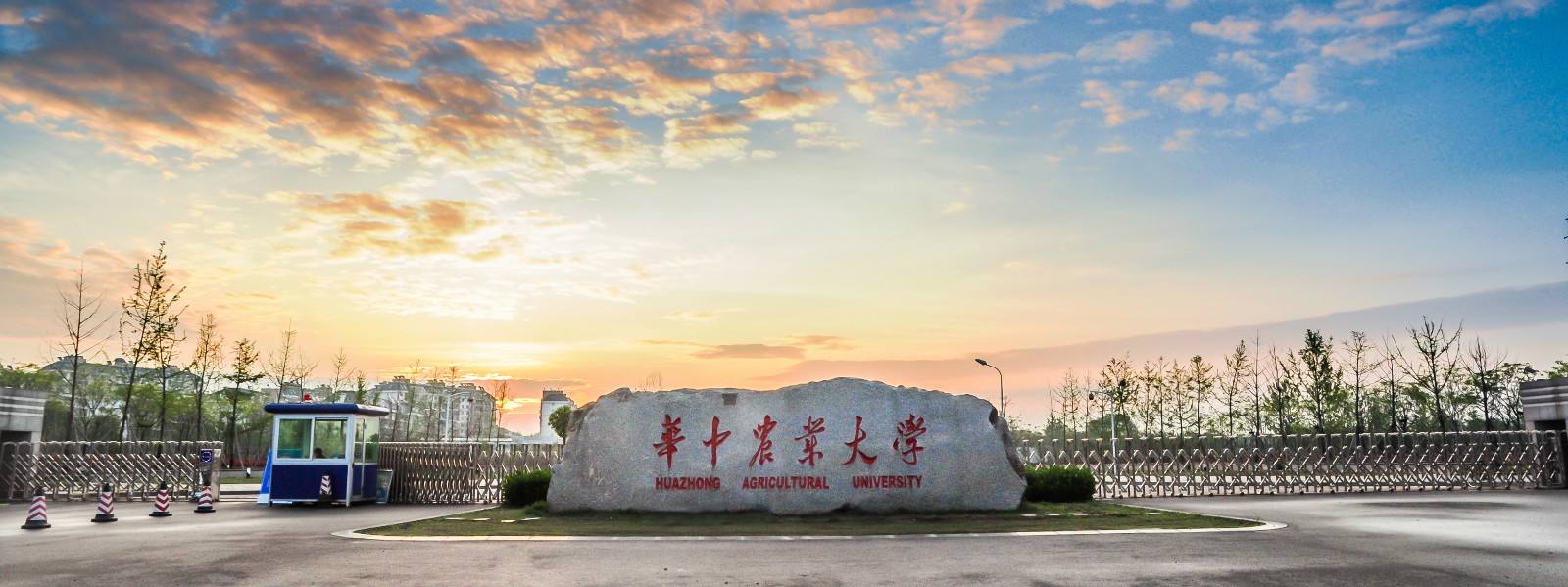 實(shí)驗研究蒸汽發(fā)生器