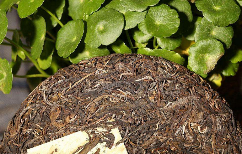 茶葉烘干蒸汽發生器