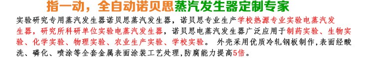 16-32kg/h實(shí)驗研究小型蒸汽發(fā)生器簡介