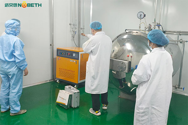 高溫高壓蒸汽機推薦，食品蒸汽滅菌用