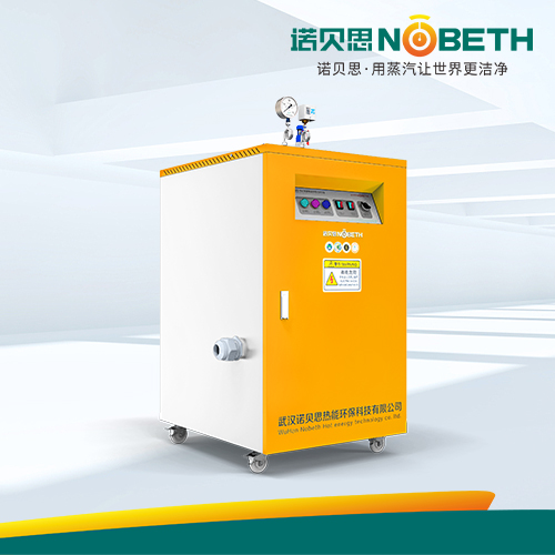 12KW小型電加熱蒸汽發生器